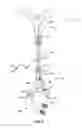 Fig. 08 - System and methods for lung isolation and one lung ventilation