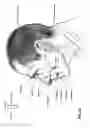 Fig. 06 - Nasal mask system
