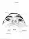 Fig. 08 - Nasal mask system