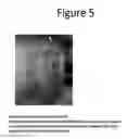 Fig. 06 - Systems and methods for body temperature management