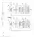 Fig. 06 - Athletic event timing and display systems