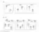 Fig. 13 - Game server, game controlling method, game program recording medium, and game system