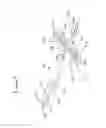 Fig. 05 - INDIVIDUAL AND ASSEMBLEABLE FLYING TOYS