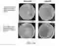 Fig. 39 - Method and apparatus for processing and analyzing filtered particles