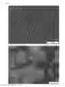Fig. 06 - MEMBRANE WITH AN ISOPOROUS, ACTIVE SEPARATION LAYER, AND METHOD FOR PRODUCING A MEMBRANE