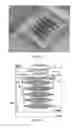 Fig. 02 - MICROREACTOR AND METHOD FOR PREPARING A RADIOLABELED COMPLEX OR A BIOMOLECULE CONJUGATE