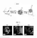 Fig. 02 - Exhaust gas purification catalyst and production method thereof