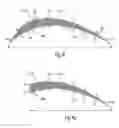 Fig. 07 - Wind turbine rotor blade components and machine for making same