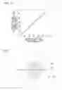 Fig. 07 - Method of pre-evaluating water jet peening, recording medium having program recorded thereon to execute the method, device for executing the method, and water jet peening method