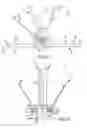 Fig. 06 - Rotatable hand-held blade-sharpening apparatus