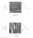 Fig. 05 - Display having light-scattering property