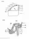 Fig. 05 - GLASS RUN FOR VEHICLE