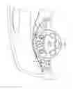 Fig. 02 - ILLUMINATED CLEAR SHAFT BENDED POINTER