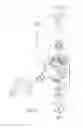 Fig. 07 - Auxiliary axle and suspension assembly