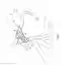 Fig. 07 - BICYCLE HANDLEBAR ASSEMBLY