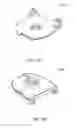 Fig. 255 - Apparatus, system and method for fluid delivery