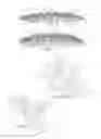 Fig. 07 - Gastight valve strip for a reclosable container