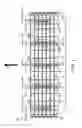 Fig. 02 - Variable width drive openings for conveyor belt
