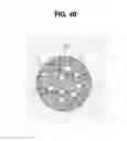 Fig. 07 - ZEOLITE COMPLEXES