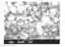Fig. 01 - Silicoaluminophosphate, method for producing the same, and solid acid catalyst comprising the same
