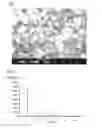 Fig. 02 - Silicoaluminophosphate, method for producing the same, and solid acid catalyst comprising the same