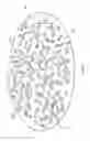 Fig. 03 - LIGHTWEIGHT SYNTHETIC PARTICLE AND METHOD OF MANUFACTURING SAME