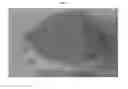 Fig. 06 - Hydraulic binder composition using rapidly-cooled steelmaking reduced slag powder, and method of preparing the same