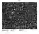 Fig. 07 - Hydraulic binder composition using rapidly-cooled steelmaking reduced slag powder, and method of preparing the same