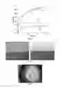 Fig. 04 - Hydrophobic low shrinkage lightweight cementitious matrix