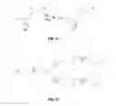 Fig. 19 - Materials and methods useful to induce vacuolization, cell death, or a combination thereof