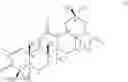 Fig. 07 - C17-heteroaryl derivatives of oleanolic acid and methods of use thereof
