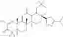 Fig. 20 - C17-heteroaryl derivatives of oleanolic acid and methods of use thereof