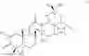 Fig. 34 - C17-heteroaryl derivatives of oleanolic acid and methods of use thereof