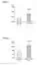 Fig. 07 - PROPHYLACTIC AND/OR THERAPEUTIC AGENT FOR MILD COGNITIVE IMPAIRMENT