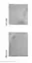 Fig. 08 - PROPHYLACTIC AND/OR THERAPEUTIC AGENT FOR MILD COGNITIVE IMPAIRMENT