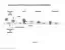 Fig. 02 - COMPOSITIONS AND METHODS FOR TREATMENT