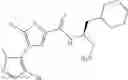 Fig. 303 - INHIBITORS OF Akt ACTIVITY