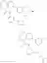 Fig. 239 - Substituted bridged urea analogs as sirtuin modulators