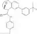 Fig. 482 - Substituted bridged urea analogs as sirtuin modulators
