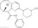 Fig. 586 - Substituted bridged urea analogs as sirtuin modulators