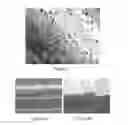 Fig. 03 - Membrane with surface channels