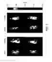 Fig. 06 - Modified virus vectors and methods of making and using the same
