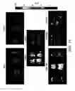 Fig. 12 - Modified virus vectors and methods of making and using the same