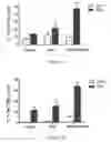 Fig. 07 - Recombinant strain of calmette-guerin (BCG), immunogenic composition and use