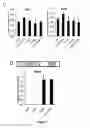 Fig. 10 - Controlled gene expression methods