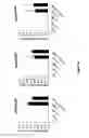 Fig. 11 - Controlled gene expression methods
