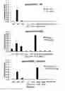 Fig. 12 - Controlled gene expression methods