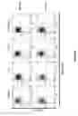 Fig. 20 - Controlled gene expression methods