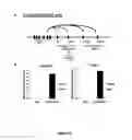 Fig. 28 - Controlled gene expression methods
