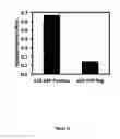 Fig. 29 - Controlled gene expression methods